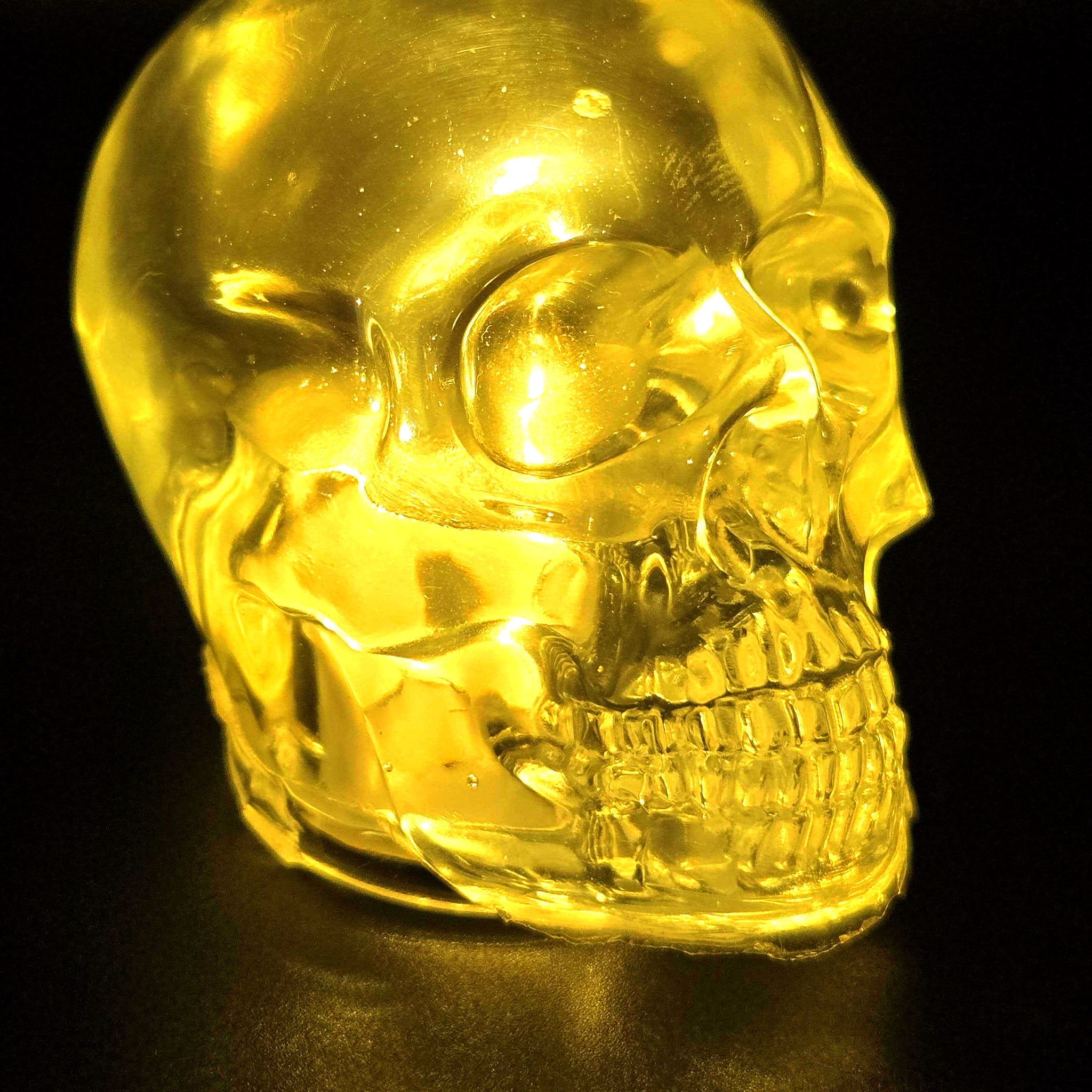 Golden Apparition Bonehead