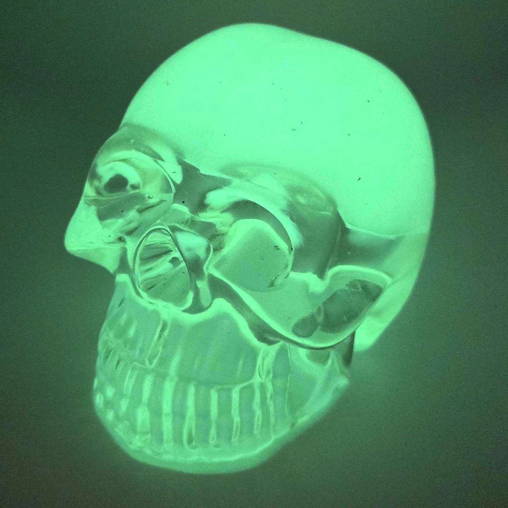 Dark Glow Bonehead