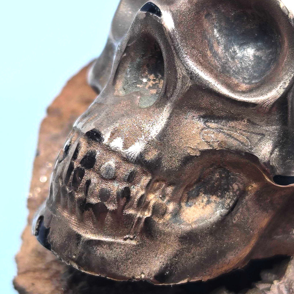 Drifter Bonehead