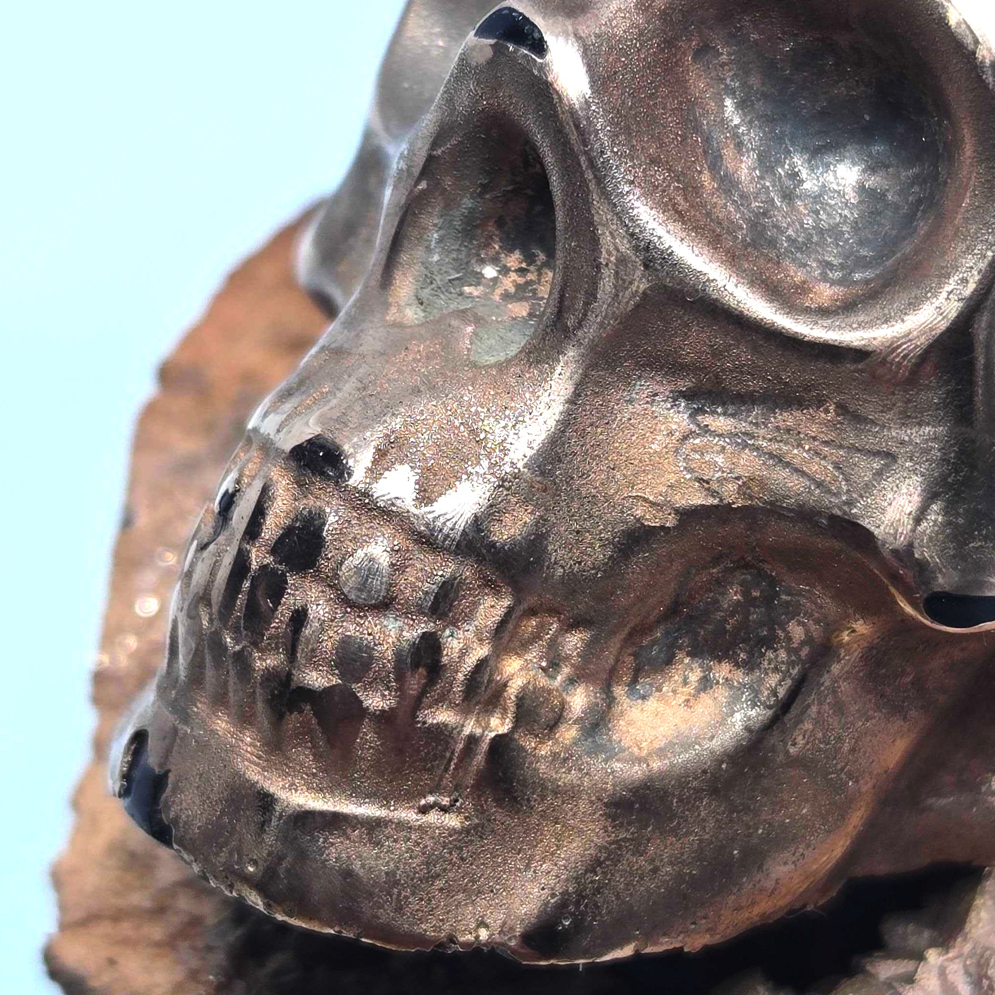 Drifter Bonehead