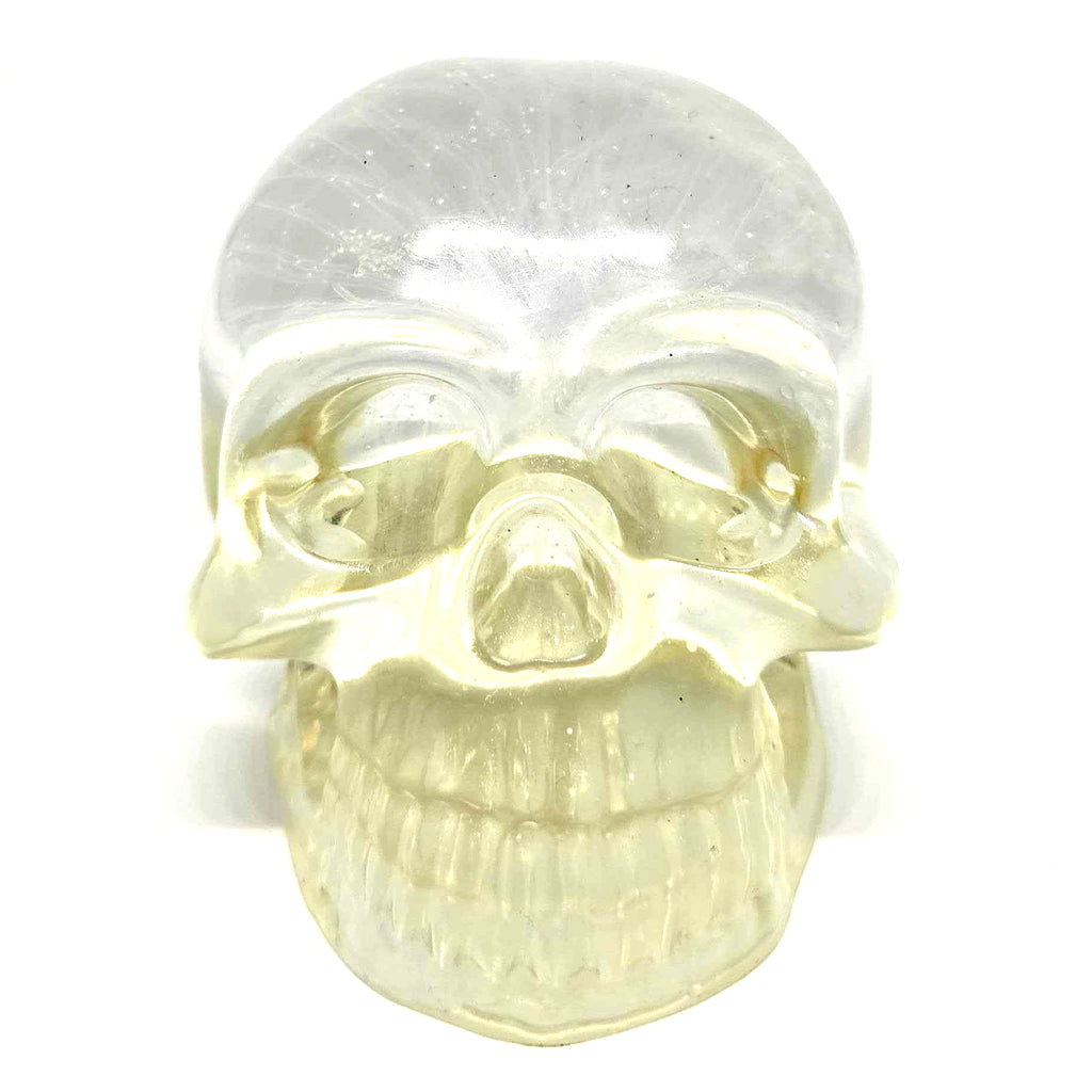Fiber Brain Bonehead