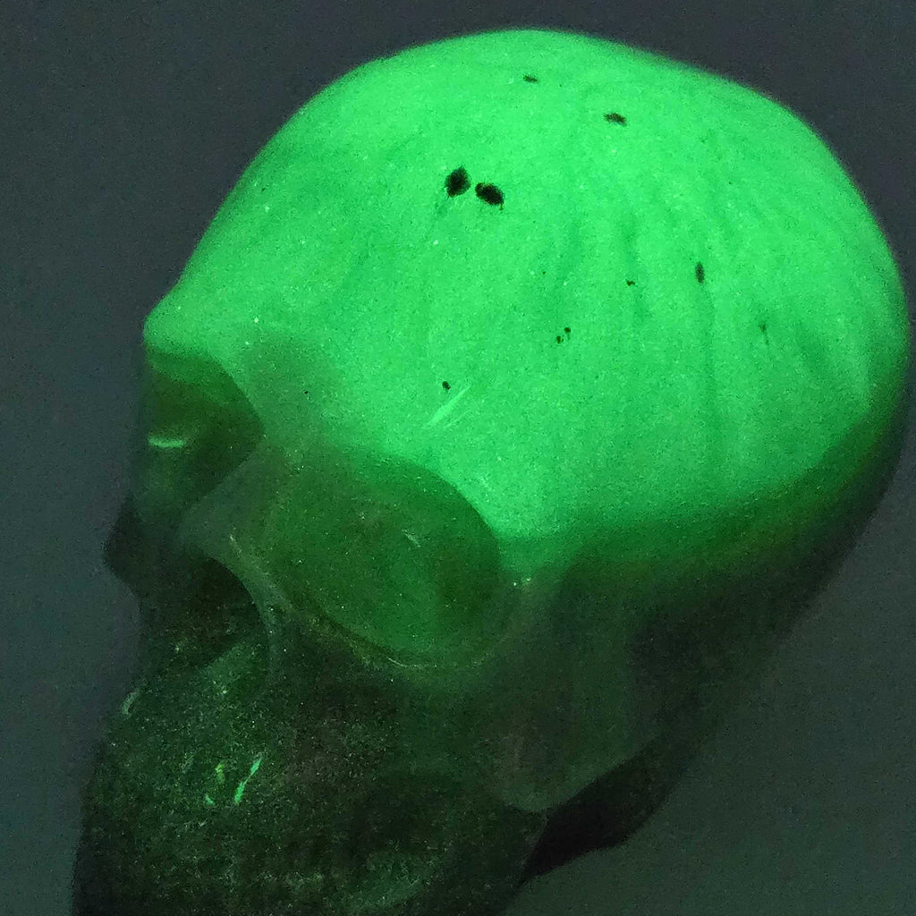 Viriditas Bonehead