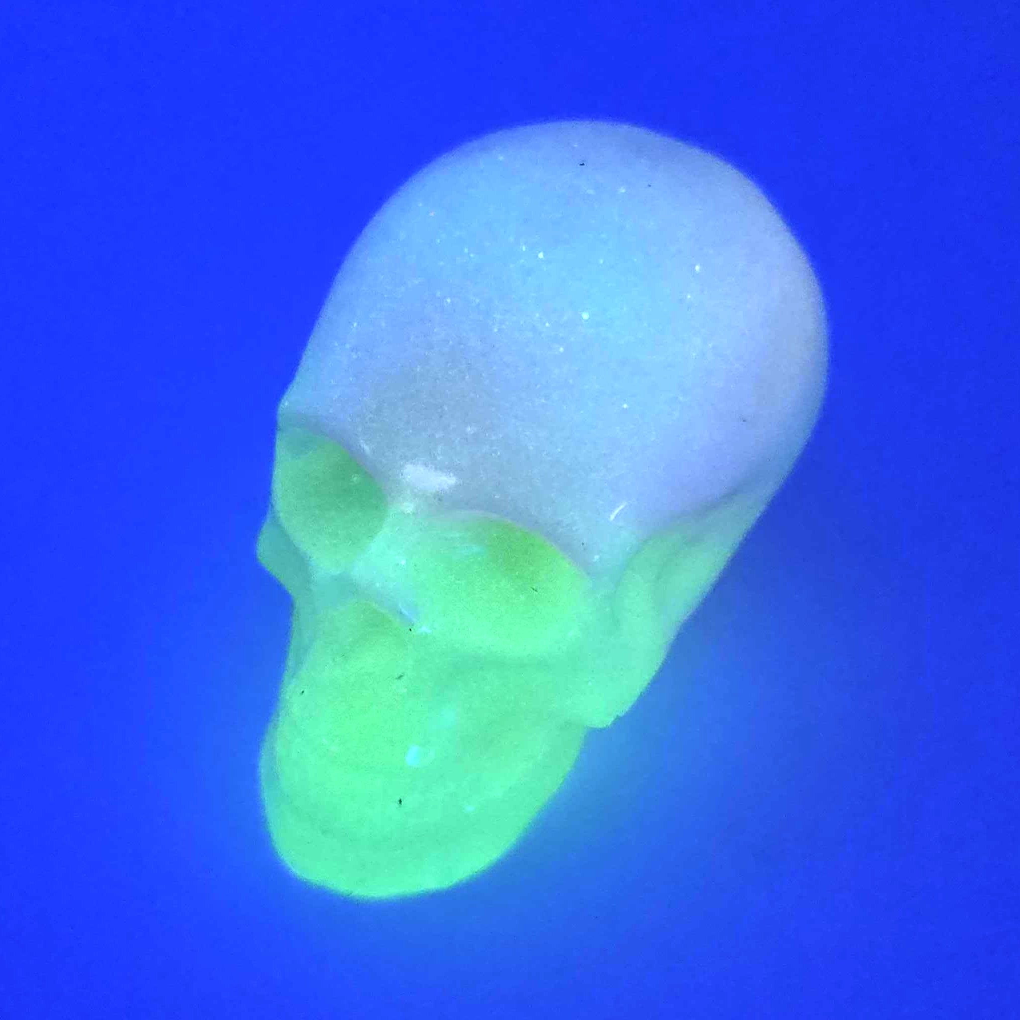 Verdant Rose Bonehead
