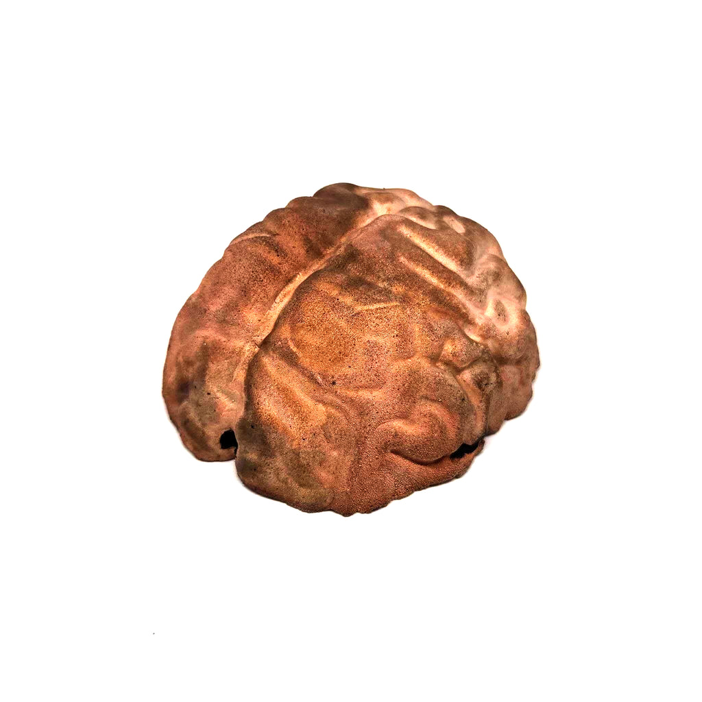 Copperhead Brainmatter