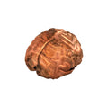 Copperhead Brainmatter