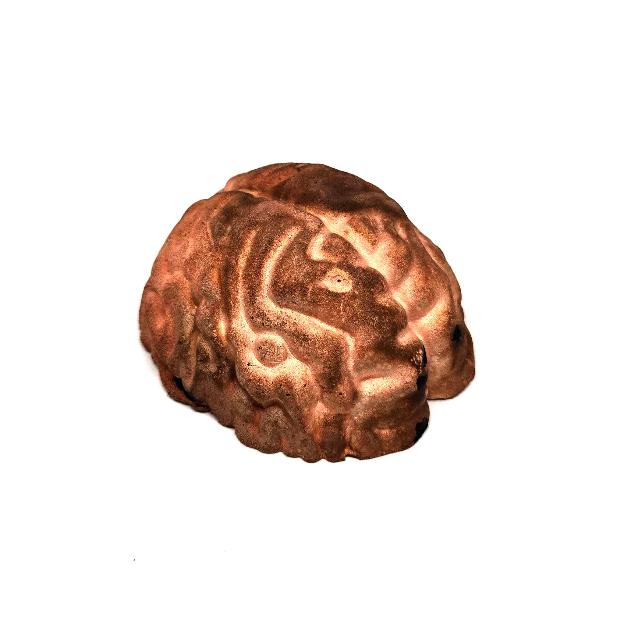 Copperhead Brainmatter