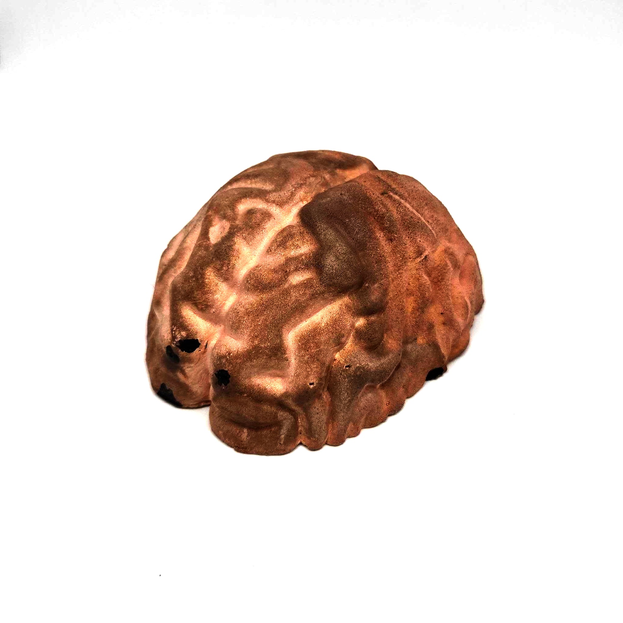 Copperhead Brainmatter